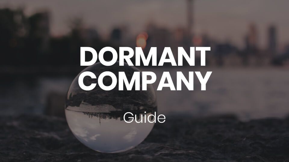 Dormant Company Guide